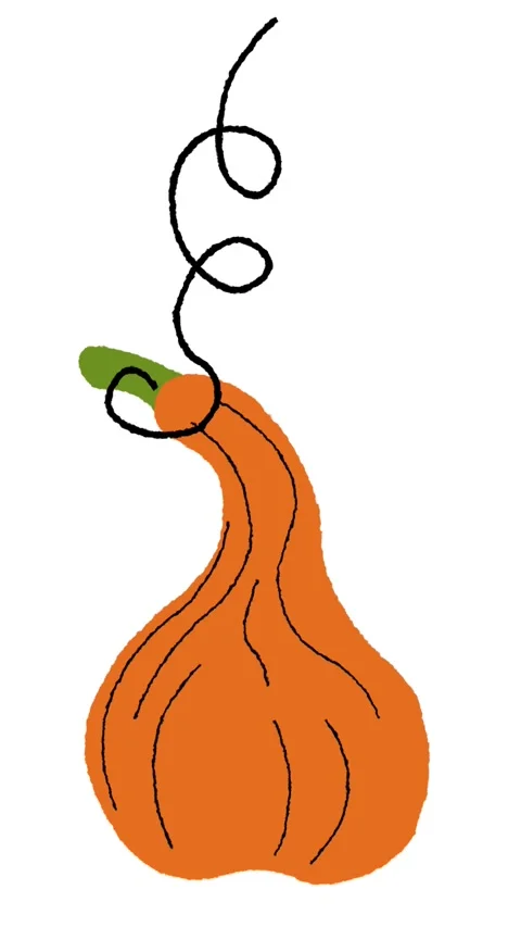 Vertical hand drawn orange pumpkin gourd growing a vine on white Stock Footage 342129160