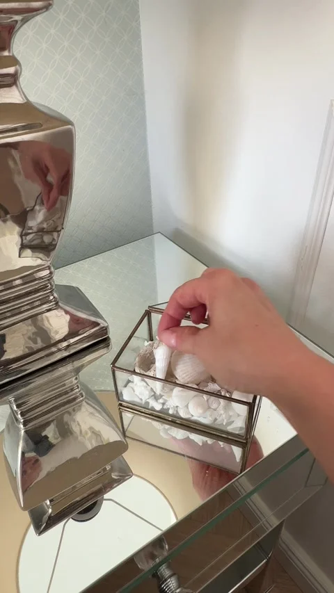 Vertical hand picking and inspecting seashell in glass box Video stock 346486346