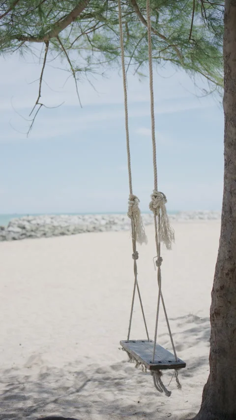 Vertical handheld shot of an empty swing moving slowly under a shade tree Stock Footage 338242191