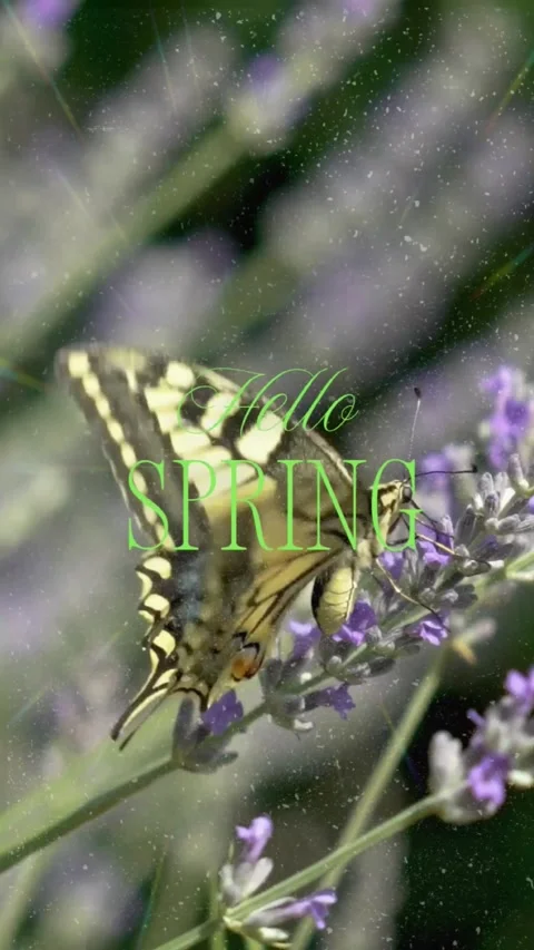 Vertical Hello Spring Video Montage with Nature Scenes and Sparkle Overlay Stock Footage 331701891