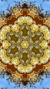 Vertical Hexagonal flowers in circular arrangement at wedding in California on Stock Photos