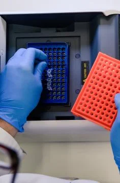 A vertical high angle closeup shot of a laboratory worker arranging pipette t Foto stock