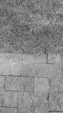 A vertical high angle perspective captures a clean divider split between lu.. Stock Photos