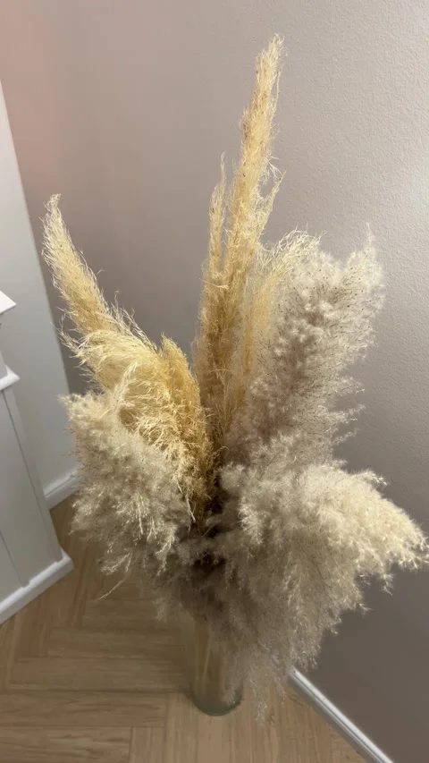 Vertical high angle shot of pampas grass bouquet in tall glass vase on floor Stock-Footage 346488739