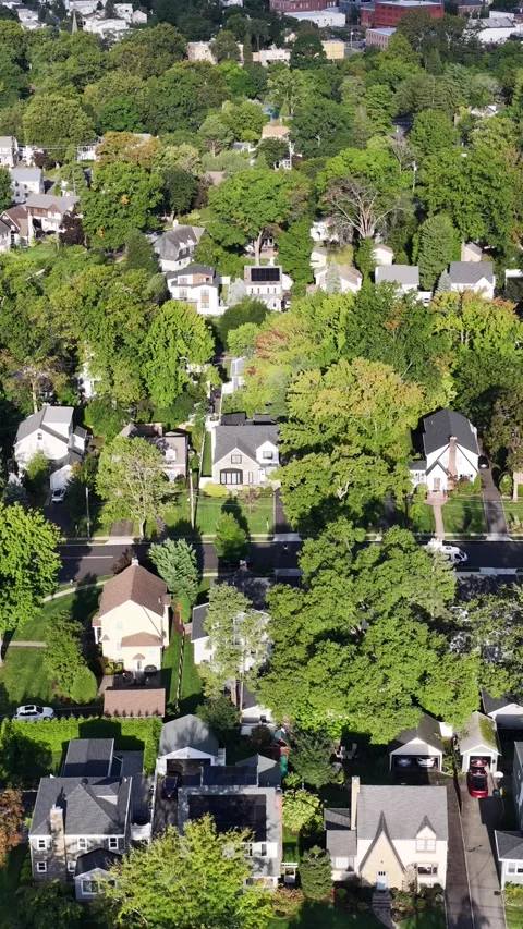 Vertical high angle view of leafy residential streets, detached homes, lawns and Stock-Footage 346326833