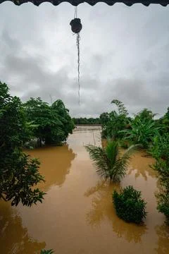 Vertical High-Angle View of Submerged Tropical Garden in Attapeu Stock Photos