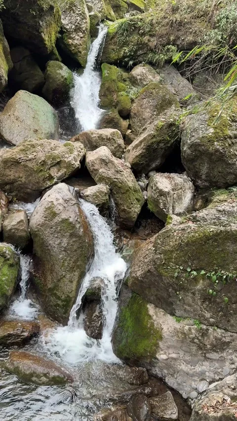 Vertical High Speed Shot of Rushing Mountain Creek and Mossy Rocks Stock Footage 330622958