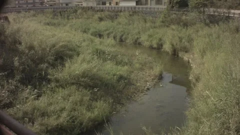 Vertical horizontal movement look up view of valley river with grass around vari Stock Footage 237252655