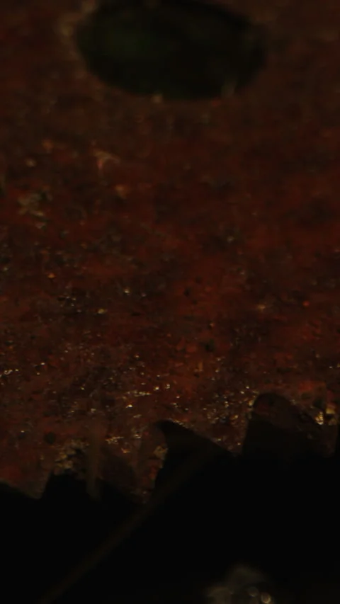 Vertical Horror concept: Detailed macro dolly of a rusty and filthy saw and Stock Footage 336373699