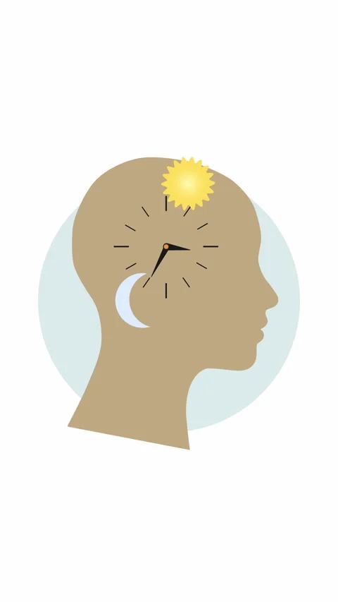 Vertical Human Biological Clock with Day and Night Cycle Flat Illustration Stock Footage 341461398