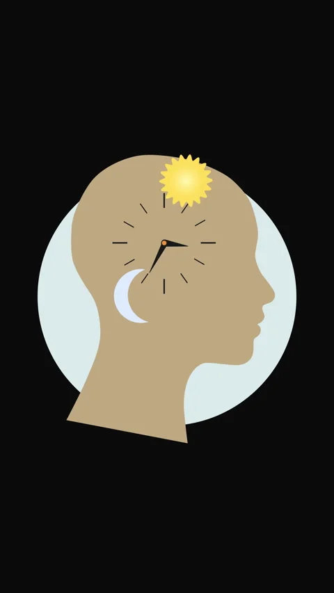 Vertical Human Biological Clock with Day and Night Cycle Flat Illustration Stock Footage 341461399
