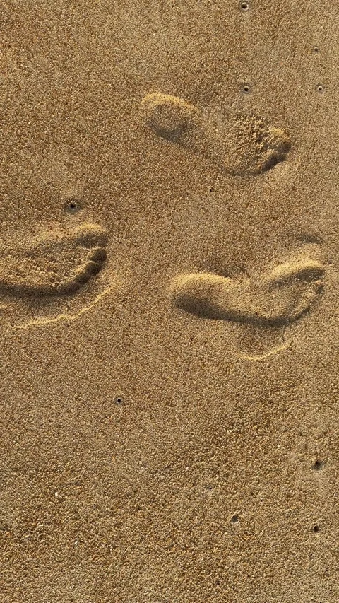 Vertical Human Footprints on Tropical Sandy Beach 4K Video stock 331833178