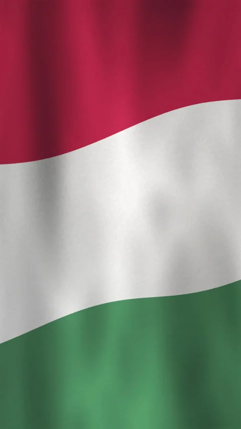 Vertical Hungary Flag Wavy Motion Background with Seamless Ripple Distortion Stock Footage 303433980