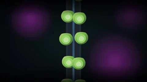 Vertical Hydroponic Farming Column with Vibrant Green Lettuce Plants and Fl.. Stock Footage 345775383