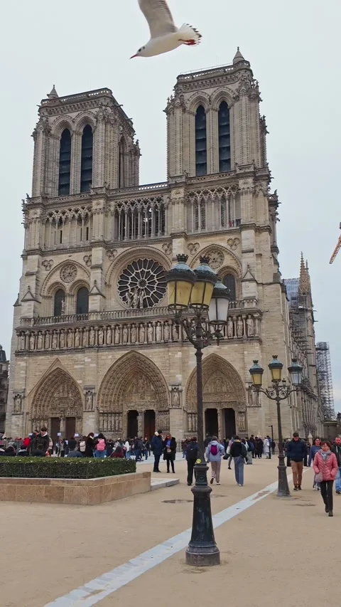 Vertical hyperlapse of the famous Notre Dame cathedral with visitors, Paris Video stock 303903307