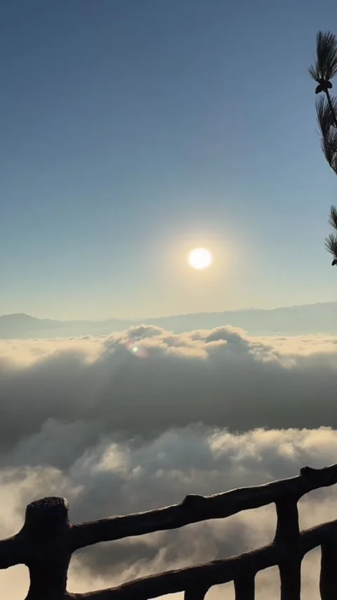 Vertical Hyperlapse of Fast Moving Clouds with Swaying Tree Branches in Wind Vídeos de archivo 328063860