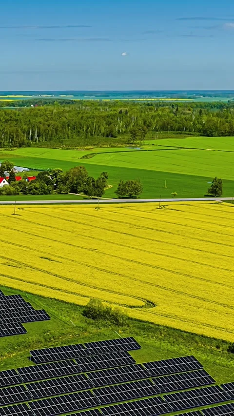 Vertical hyperlapse over solar panel farm and yellow rapeseed fields in rural 스톡 동영상 337648367