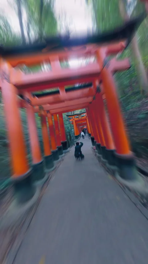 Vertical hyperlapse video of Senbon Torii at Fushimi Inari Shrine Stock Footage 265114756