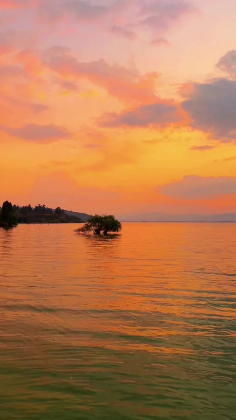 Vertical Iconic Lone Tree in Erhai Water Under Orange Glow Stock Footage 332469520