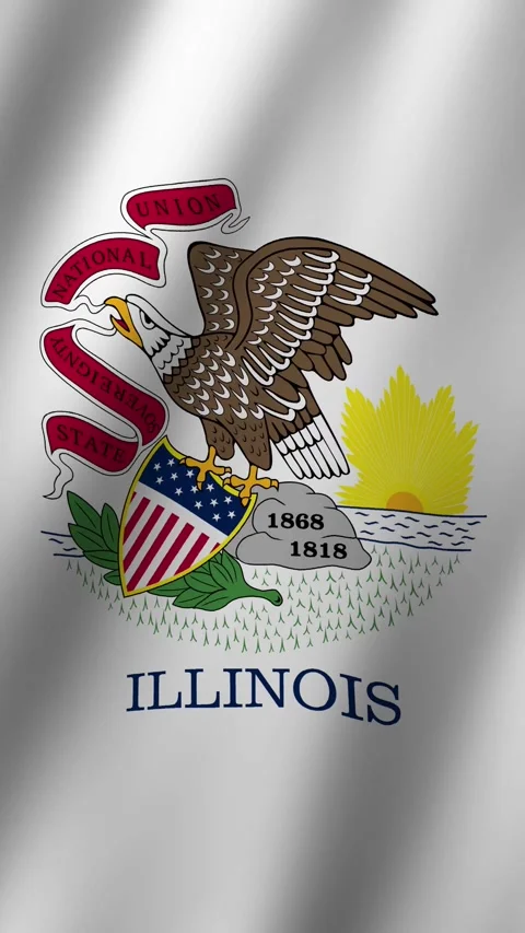 Vertical Illinois Flag Animated 4k video 動画素材 296780603