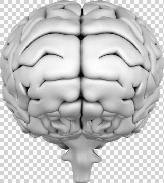 Vertical image of 3d human brain Stock Photos