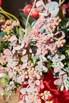 Vertical image with artificial decorative plants, herbs and flowers on the table Stock Photos