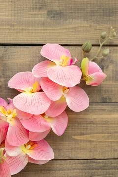 Vertical image of an artificial pink flower. top view of pink orchid on woode Stock Photos