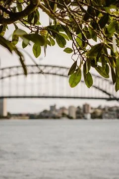 Vertical image of a blurry view on the Sydney Harbour Bridge framed by gree.. Stock Photos