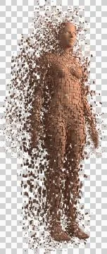 Vertical image of brown pixels forming 3d female avatar Ilustração Stock