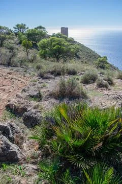 Vertical image at the Cerro Gordo viewpoint with the watchtower in the backgr Stock Photos