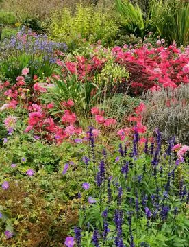 Vertical image of flower bed in summer with assorted orange and purple flowers Stock Photos