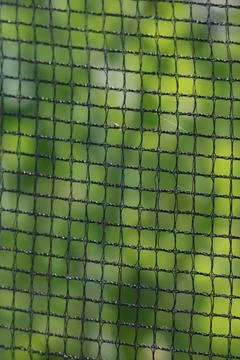 Vertical image of green nylon net against blurred green background Stock Photos