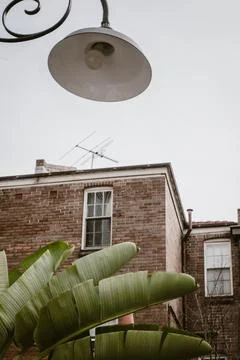 Vertical image of an old red brick building framed by lush greenery outdoor.. Stock Photos