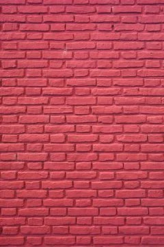 Vertical Image of Raspberry Red Colored Brick Wall for Background, Texture Foto stock