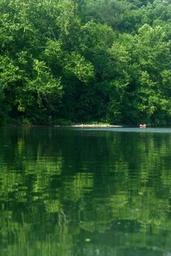 Vertical image of river kayakers surrounded by lush woods- copy space. Stock Photos
