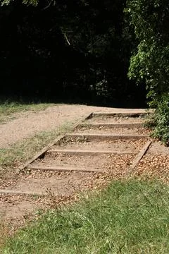 Vertical image of rustic wood edged steps in woodland setting Stock Photos