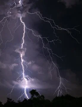 Vertical Image of Scary Real Lightning Striking over the Forest at Night Stock Photos