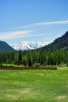 Vertical image of snow mountain peak and green forest and meadow with fence Stock Photos