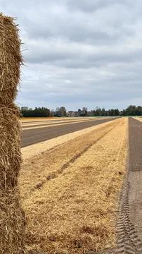 Vertical image of stack of hay during harvest season Stock Photos
