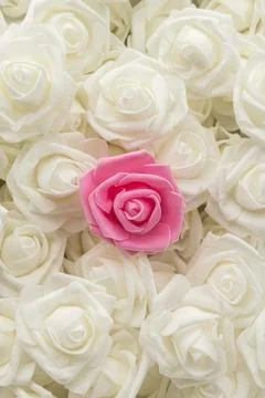 Vertical image top view of background of white flowers and one pink flower... Stock Photos