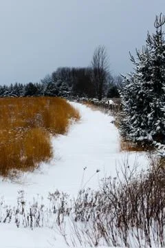 Vertical image of a trail through a field and trees Stock Photos