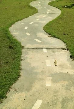 Vertical image of the winding path in the public park Stock Photos