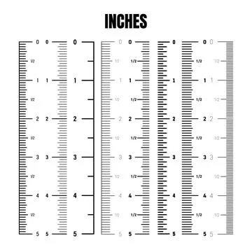 Vertical inch scale for measuring length or height. Various measurement scales Stock Illustration
