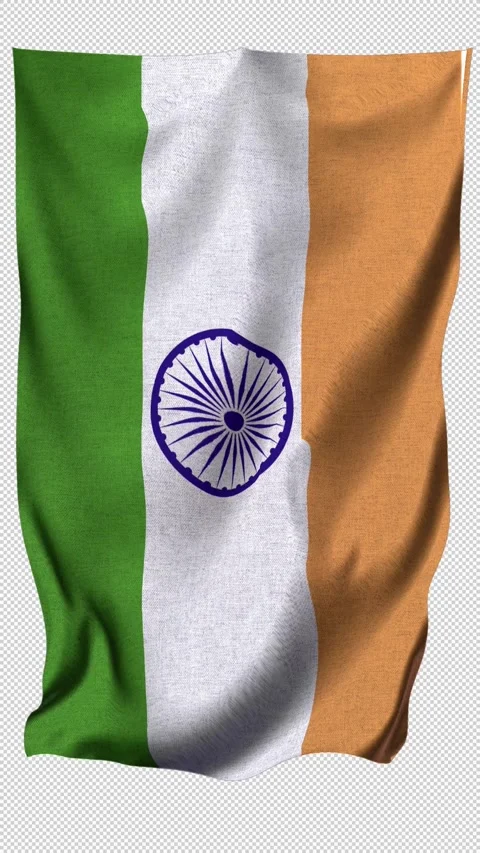 Vertical India Flag Stock Footage 340148688