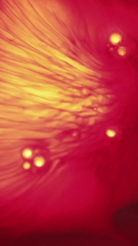 Vertical ink blend paint oil bubbles droplet fluid Stock Footage 330837489