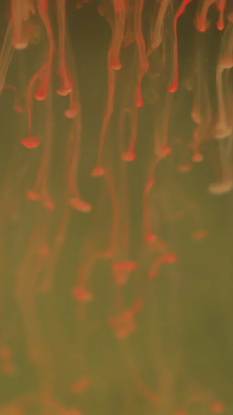 Vertical ink drip blend blur paint mix drops fluid Stock-Footage 314227990