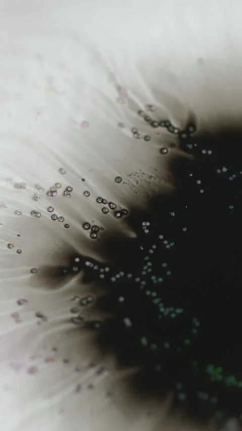 Vertical Ink drop black paint splash in water grain white Stock-Footage 271049679