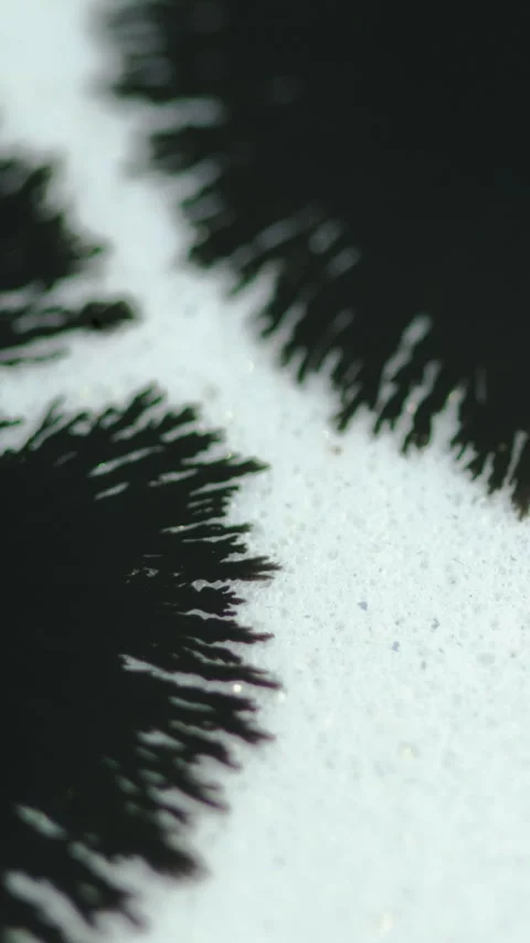 Vertical Ink drop paint splatter black stain blotch white Video stock 277155664