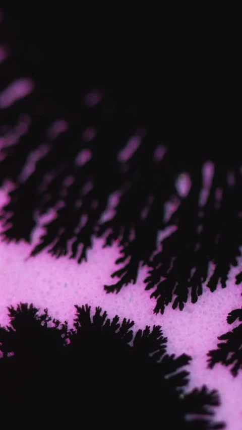 Vertical Ink drop paint splatter black stain blotch on pink Stock Footage 278520906