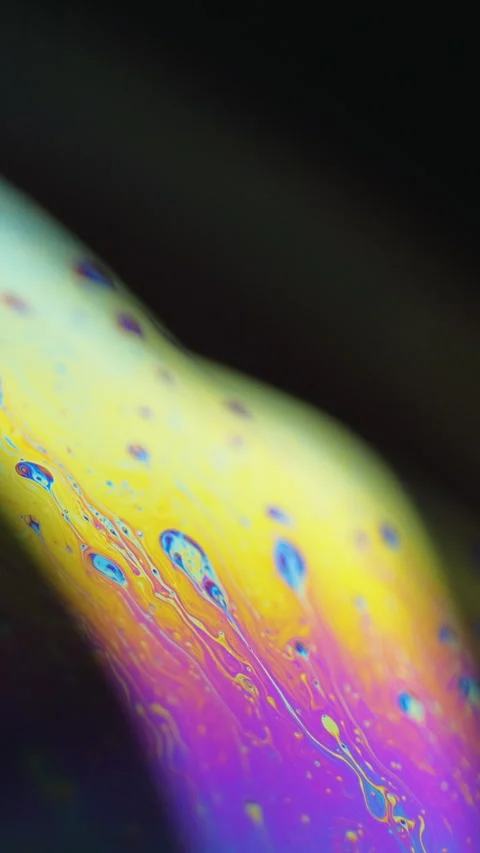 Spectrum Wetv Stock Videos – Royalty-Free HD & 4K Videos | Pond5